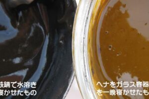 鉄なべヘナ