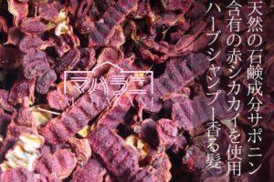 シカカイ