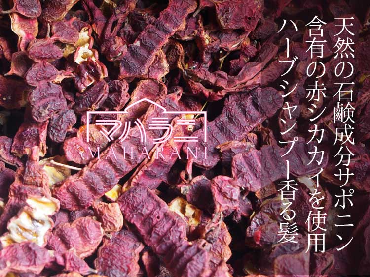 シカカイ