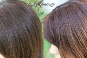 ヘナで茶髪に染まったヘアダイ部分