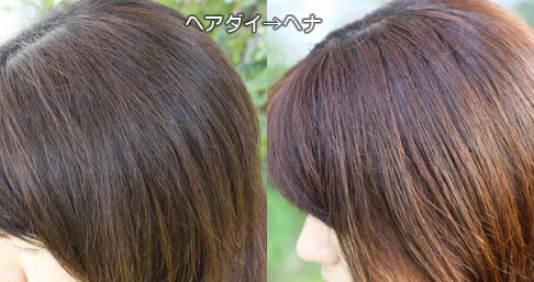 ヘナで茶髪に染まったヘアダイ部分
