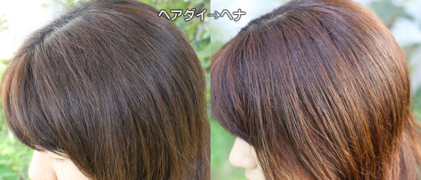 ヘナで茶髪に染まったヘアダイ部分