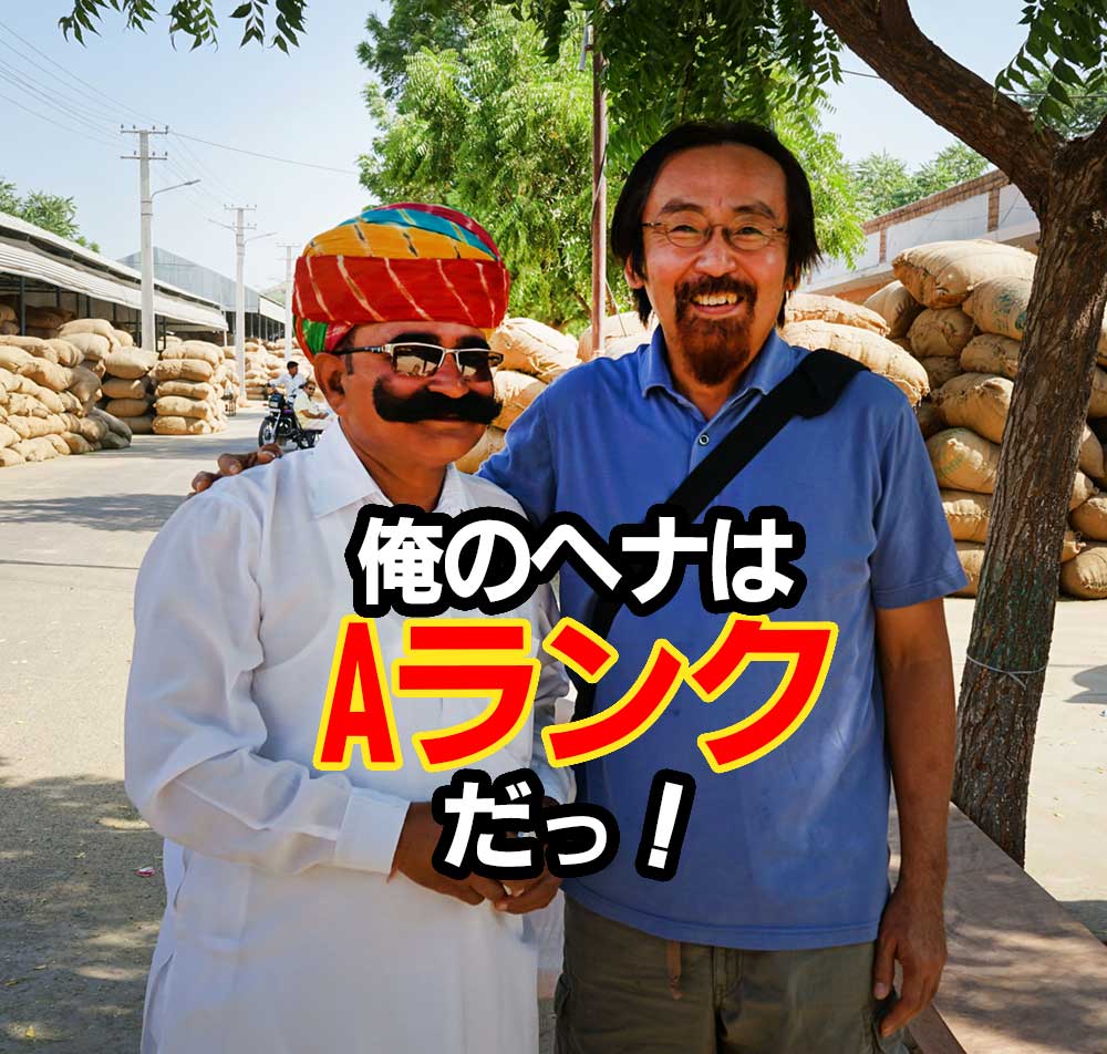俺のヘナはAランクだ!