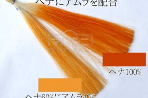 ヘナとアムラ