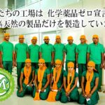 マハラニヘナは化学薬品ゼロ宣言工場で生産しています