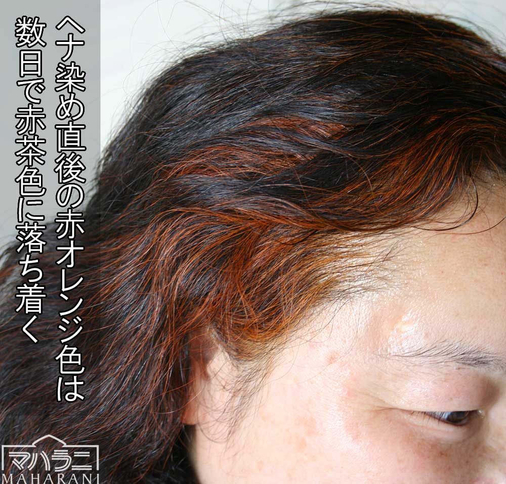 ヘナ染直後の発色