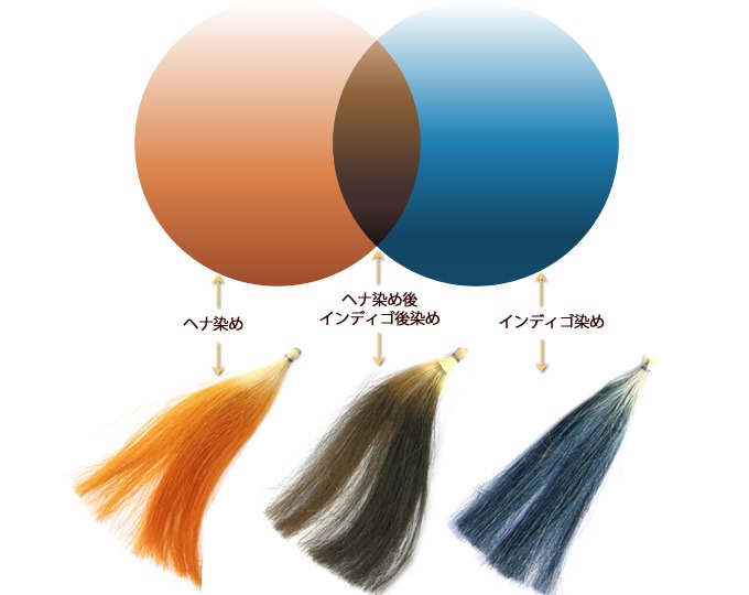 ヘナとインディゴの染まり方