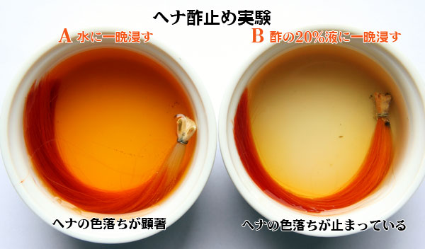 酢止め実験