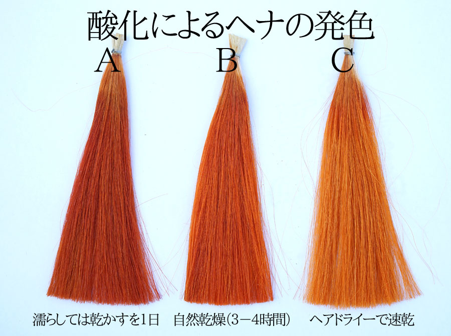 ヘナの発色をすすめるには自然乾燥ががおすすめ