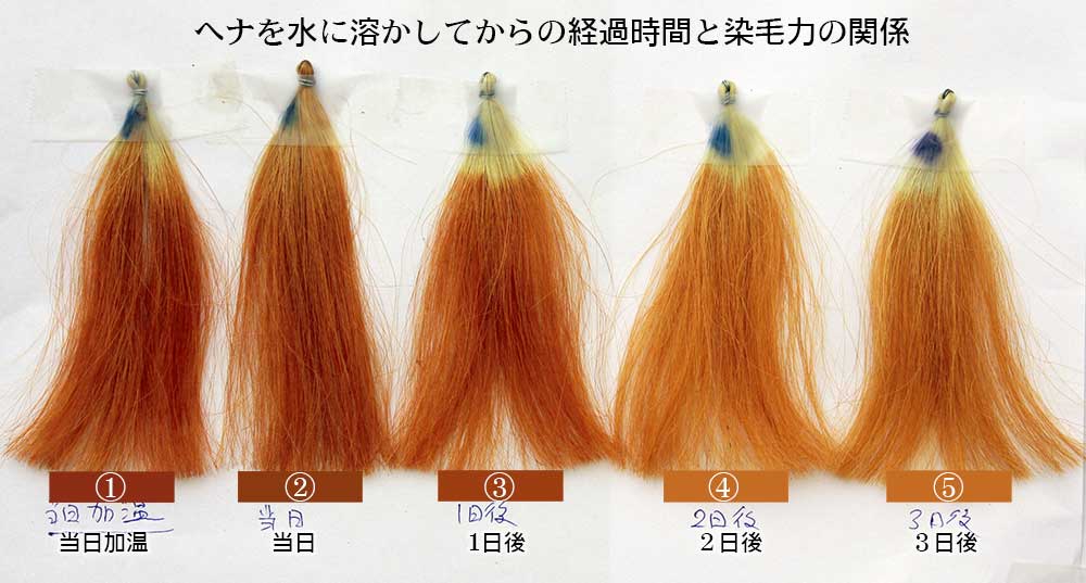 ヘナの染毛実験、一晩寝かせ