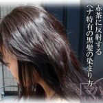 ヘナで黒髪の色