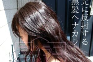 光に反射スルヘナカラー
