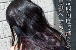 反射角度ではヘナカラーが薄れたり消えたりして、もともとの黒髪に見える