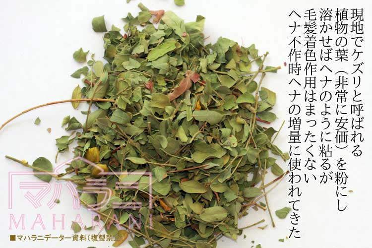 偽物、偽装ヘナの作り方(2)~ヘナと似た植物ケズリの葉を仕入れる