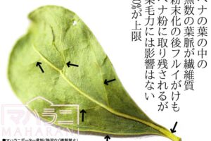 ヘナの葉の繊維質