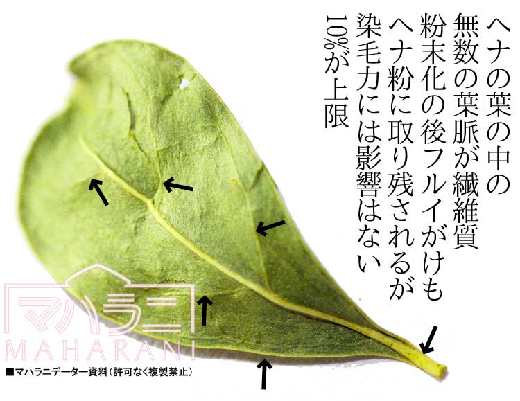 ヘナの葉の繊維質