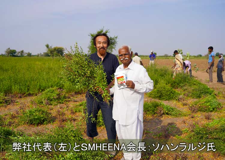 ヘナ農園で弊社代表とSMHEENAのソハンラルジ氏