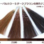 ハーバルカラー5ダークブラウンで白髪染めを続けていたら黒に染まってしまった