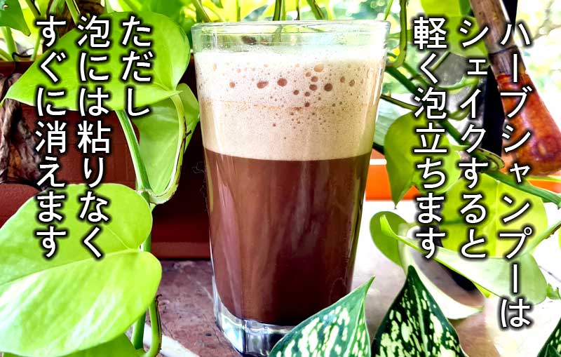 泡立つハーブシャンプー