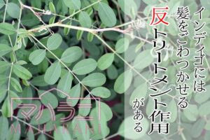 インディゴの反トリートメント作用