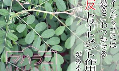 インディゴの反トリートメント作用