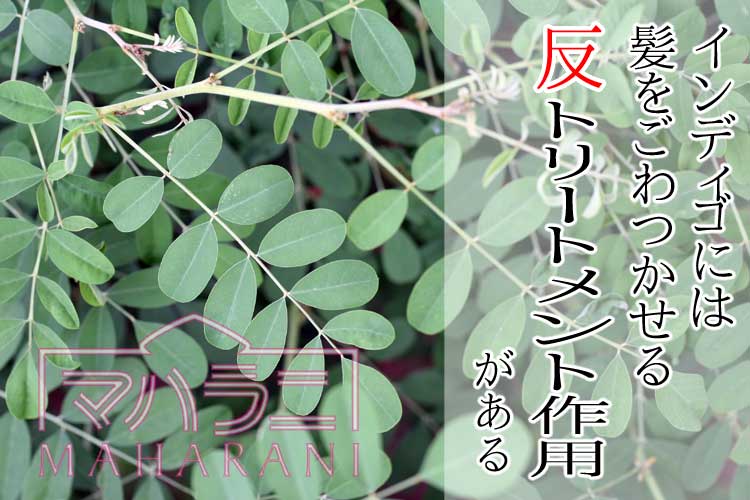 インディゴの反トリートメント作用
