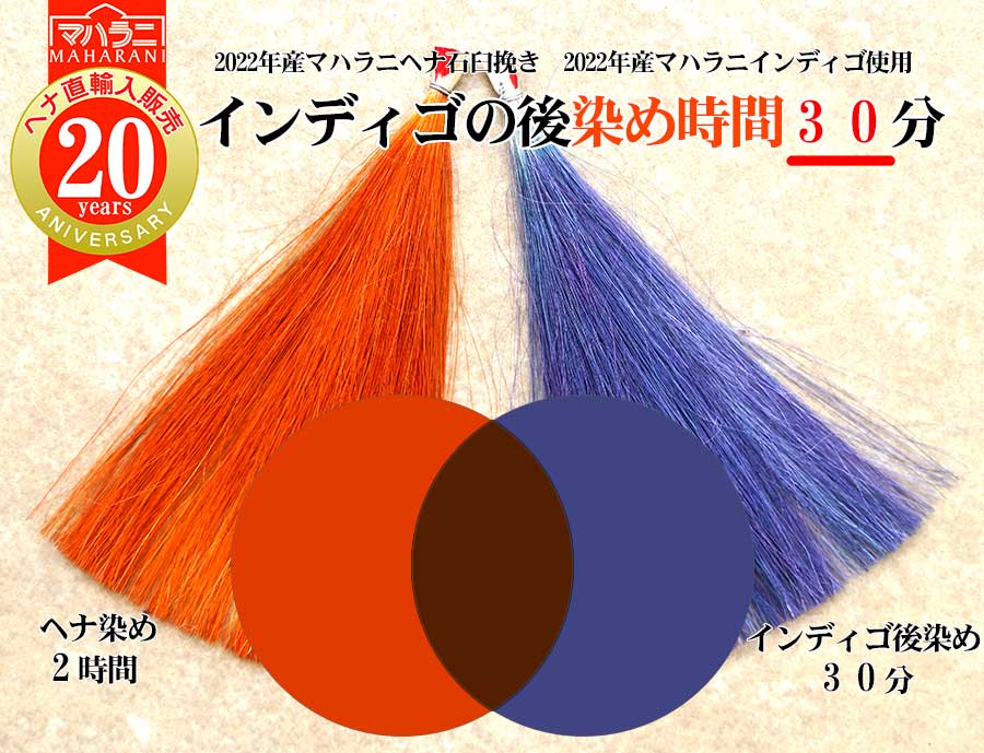 インディゴ後染め30分の場合