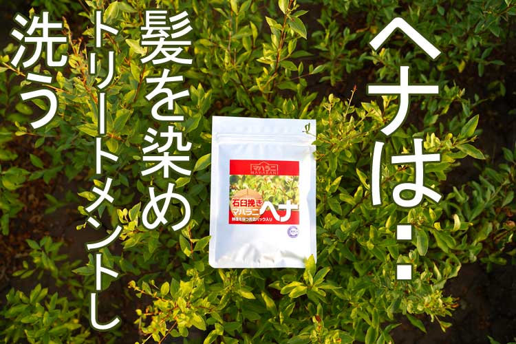 ヘナは髪を染め髪をトリートメントし洗う