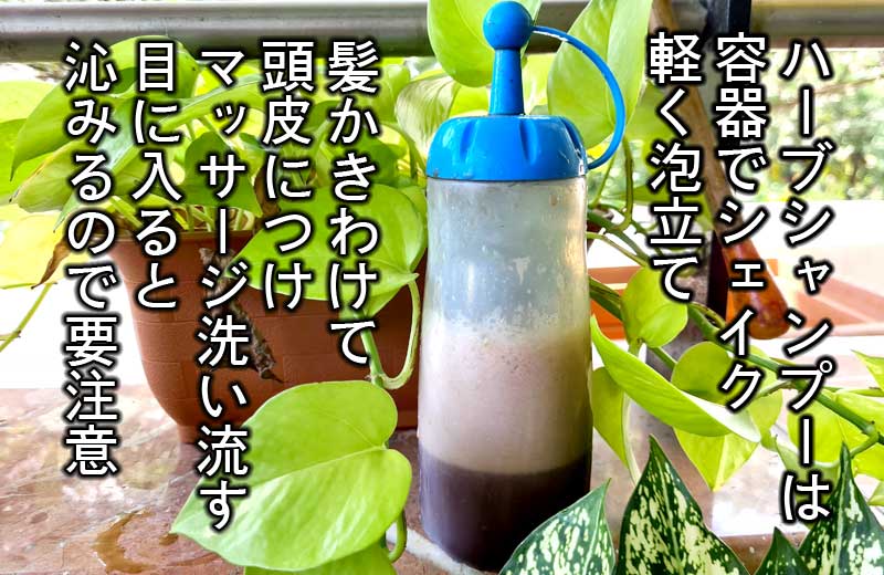 ハーブだけでシャンプーのような泡立ち