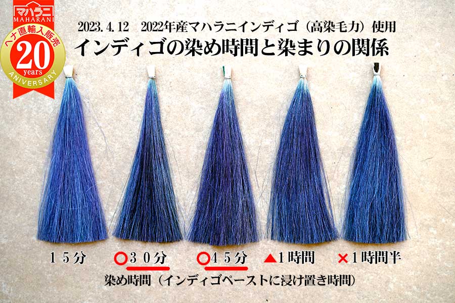 インディゴ染め時間