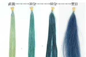 インディゴの発色の仕組み