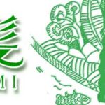 ハーブシャンプー香る髪