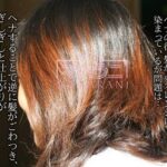 ヘナショック