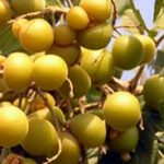 リタQA集