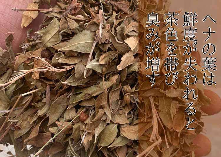 古く鮮度が失われたヘナは臭みが強い