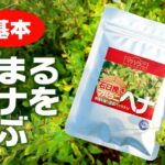 染まるヘナを選ぶ