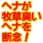 ヘナが牧草臭いヘナを断念